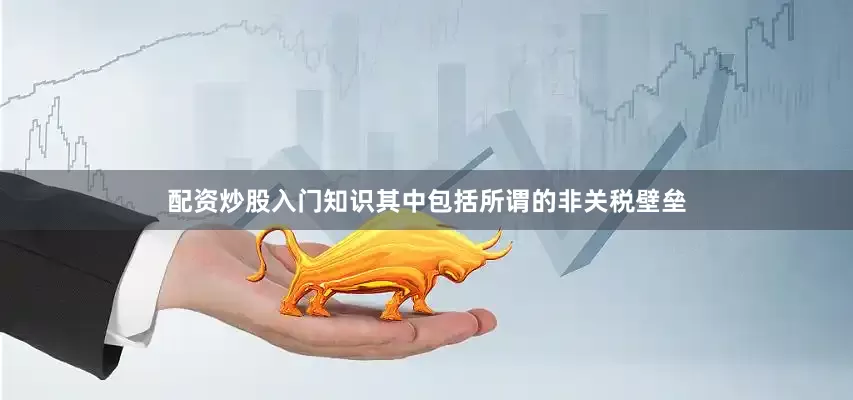 配资炒股入门知识其中包括所谓的非关税壁垒