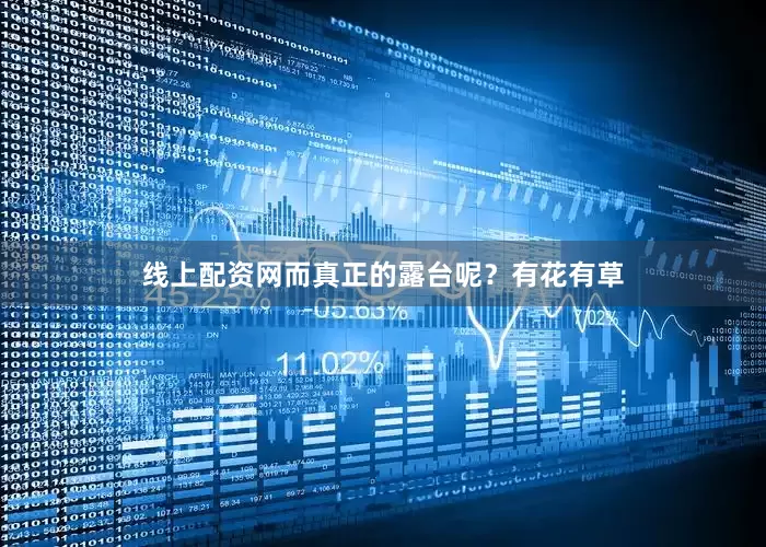 线上配资网而真正的露台呢？有花有草